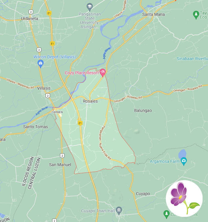 Tin's Flower Shop Flowers Delivered to Rosales in Pangasinan FREE